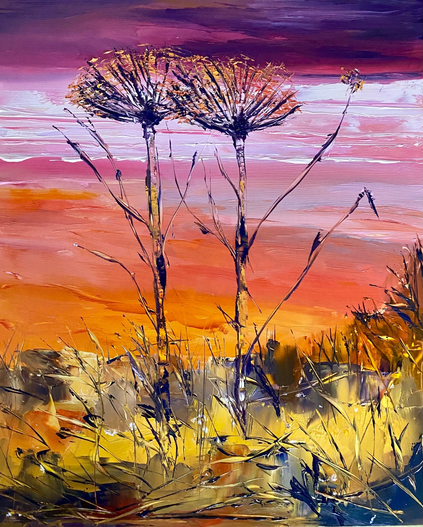Cow parsley on the cliff edge in colours!